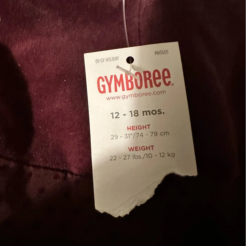 Gymboree festive holidays